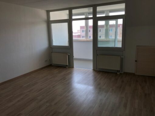 3-Zimmer-Wohnung mit Balkon, frisch renoviert auf Wunsch fix und fertig mit Einbauküche WE39GER3